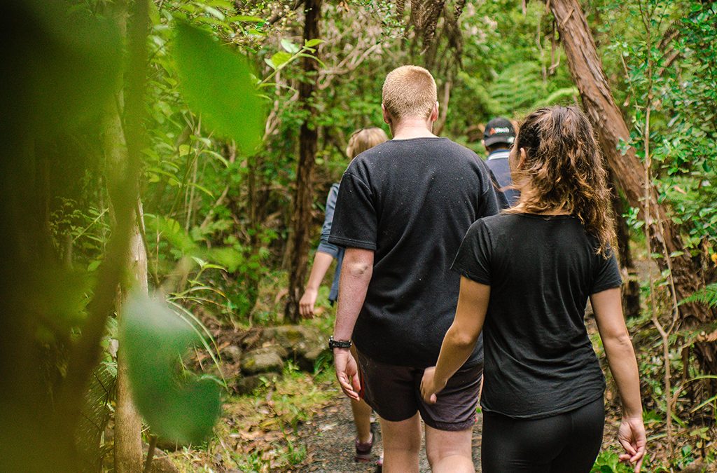 Leave no Trace