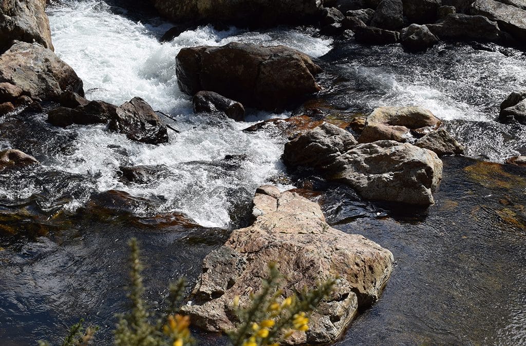 Local, Low Cost, Low Risk: Karangahake Gorge
