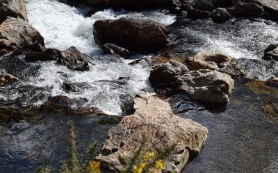 Local, Low Cost, Low Risk: Karangahake Gorge