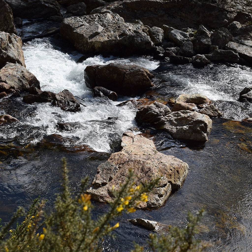 Local, Low Cost, Low Risk: Karangahake Gorge