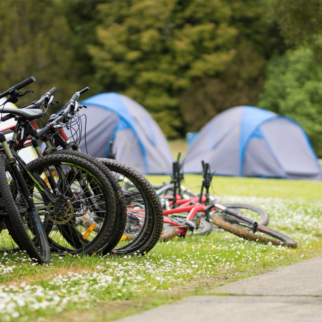 Covid & POET Camps