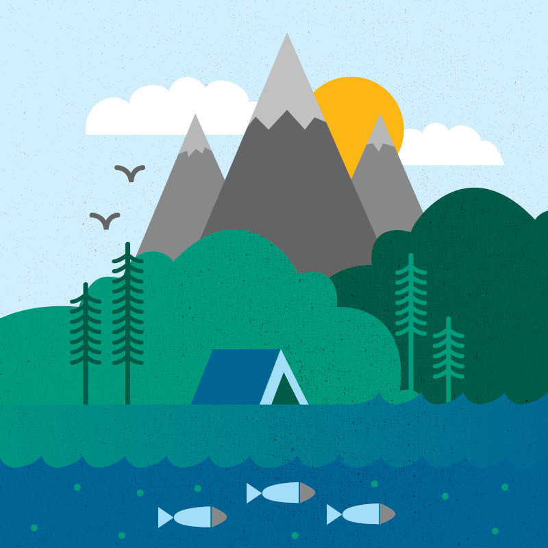 Outdoor Education Camps Sustainability Animation